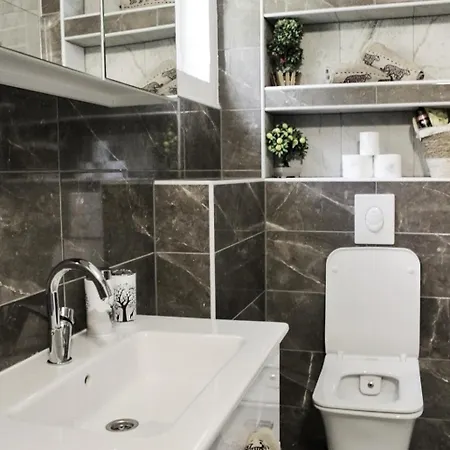 別荘 Revita Cocktail モスタル